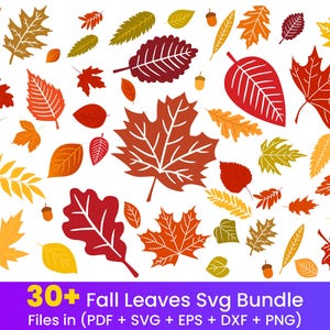 Fall Leaves Svg Bundle Leaves Svg bundle Fall png dxf clipart Cut files for Cricut Glowforge files Silhouette Halloween svg Digital Files