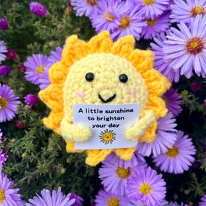 May include: A crocheted yellow sun with a smiling face and a sign that reads "A little sunshine to brighten your day." The sun is surrounded by purple flowers.