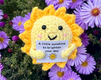 May include: A crocheted yellow sun with a smiling face and a sign that reads "A little sunshine to brighten your day." The sun is surrounded by purple flowers.