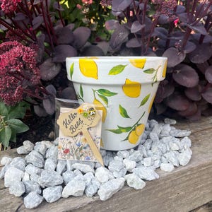 May include: A white ceramic plant pot adorned with yellow lemons and green leaves. A wooden sign reading "Hello Bees" is positioned in front of the pot. The pot is surrounded by grey stones.