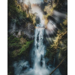 Forest Lightfall – Nature Photography Print | Forest Landscape Wall Art | Pacific Northwest Decor | Calm Decor | Pine Forest | Waterfall