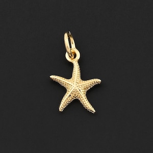 Può includere: Un piccolo ciondolo a forma di stella marina color oro con una superficie strutturata. Il ciondolo ha un anello nella parte superiore per attaccarlo a una collana o un braccialetto. La stella marina è centrata su uno sfondo scuro.