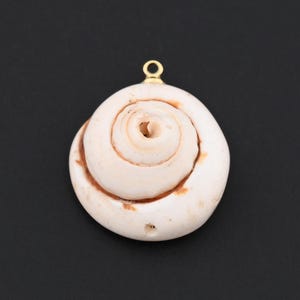 Rustic Spiral Snail Shell Drop with Natural Texture and Gold Accent for Handmade Jewelry Creations 18x21.5mm
