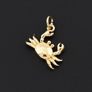 Puede incluir: Un dije de cangrejo dorado con un peque&ntilde;o lazo para sujetarlo a un collar o pulsera. El cangrejo tiene un dise&ntilde;o detallado con pinzas, patas y un cuerpo texturizado. El dije est&aacute; sobre un fondo negro.