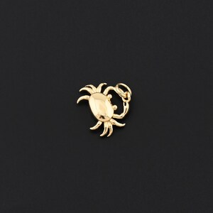 May include: A gold-colored crab pendant with an oval body and multiple legs. The crab has a small loop at the top for attaching to a chain. The pendant is set against a black background.