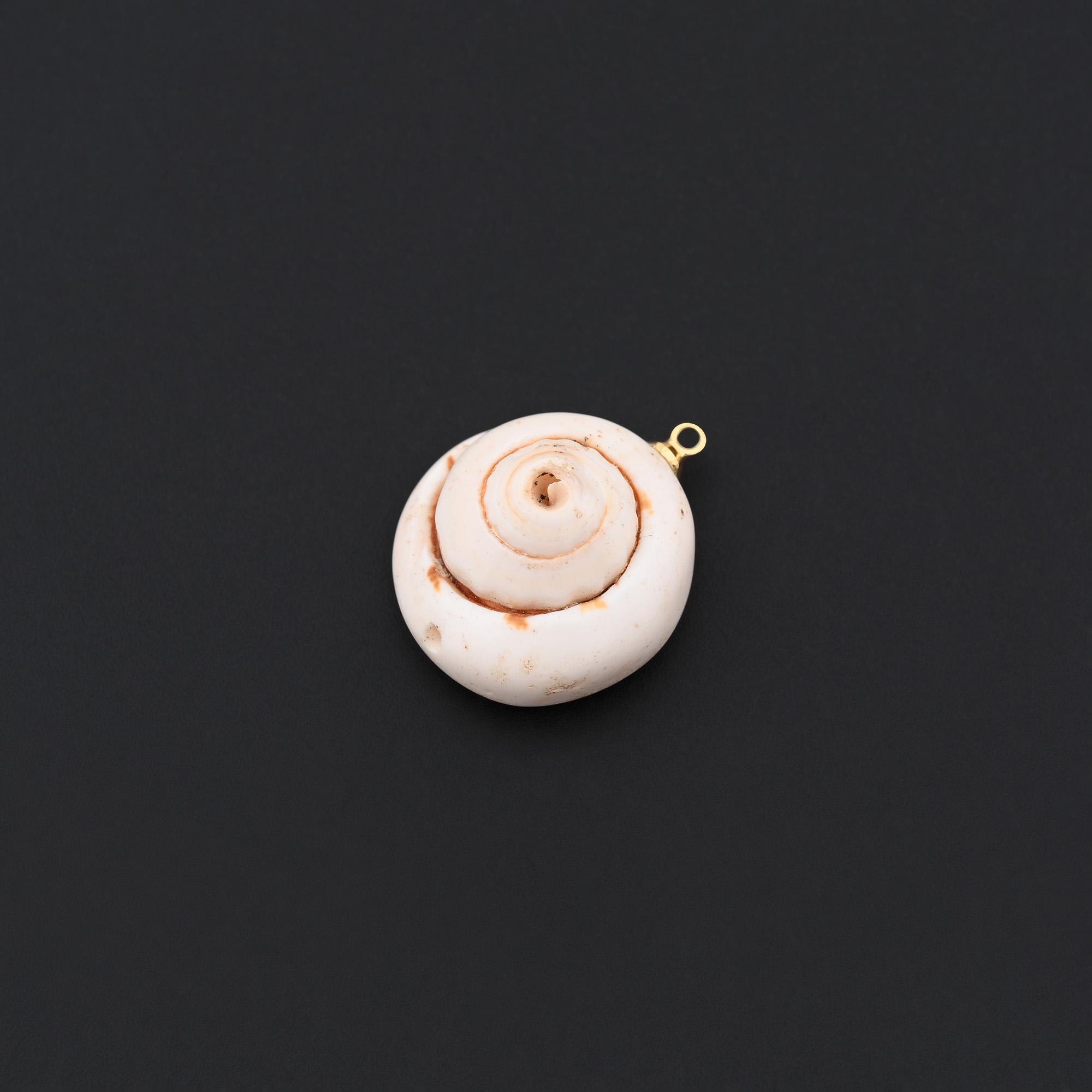 Drop Shape Shellin Rustic Spiral Snail Shell Drop With Natural Texture and Gold Accent for ...