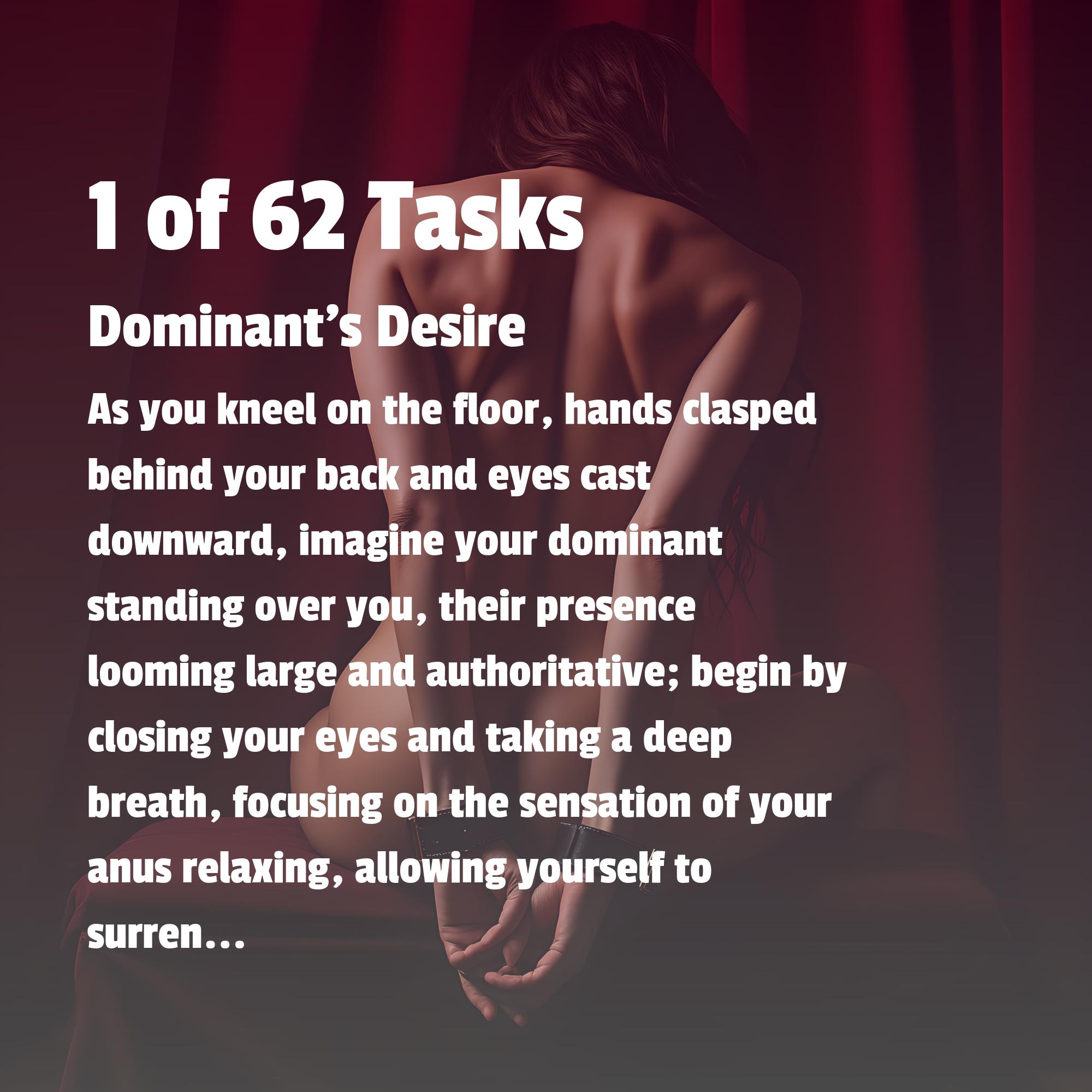 Rear Entry: the Anal Training Manual - 62 Tasks - 7 Chapters - Anal