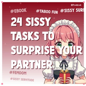 24 Sissy-taken: verras je dompartner (e-boek)