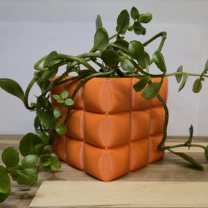 3d Printed Flower Pot Bubble Planter | Home Office Décor Cushion Textured Planter | Modern Plant Pot for Succulent | Cacti | Herbs