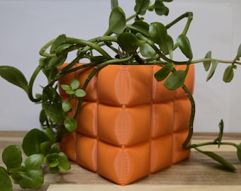 3d Printed Flower Pot Bubble Planter | Home Office Décor Cushion Textured Planter | Modern Plant Pot for Succulent | Cacti | Herbs