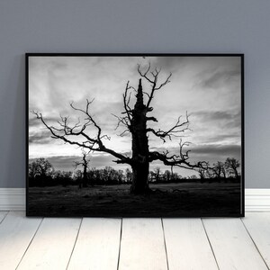 Impresión de silueta de árbol al atardecer: arte mural de paisaje en blanco y negro (descarga digital)