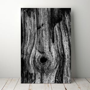Black and White Tree Bark Print: Rustic Wood Texture Wall Art (Digital Download)