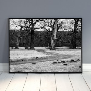 Impression de chemin forestier en noir et blanc : art mural photographie Moody Woodland (téléchargement numérique)