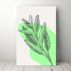 Salbei botanische Kunst zum ausdrucken, Kräuterpflanze Illustration Download, minimalistische grün Druck, digitale Küche Dekor Poster, Digitaldruck