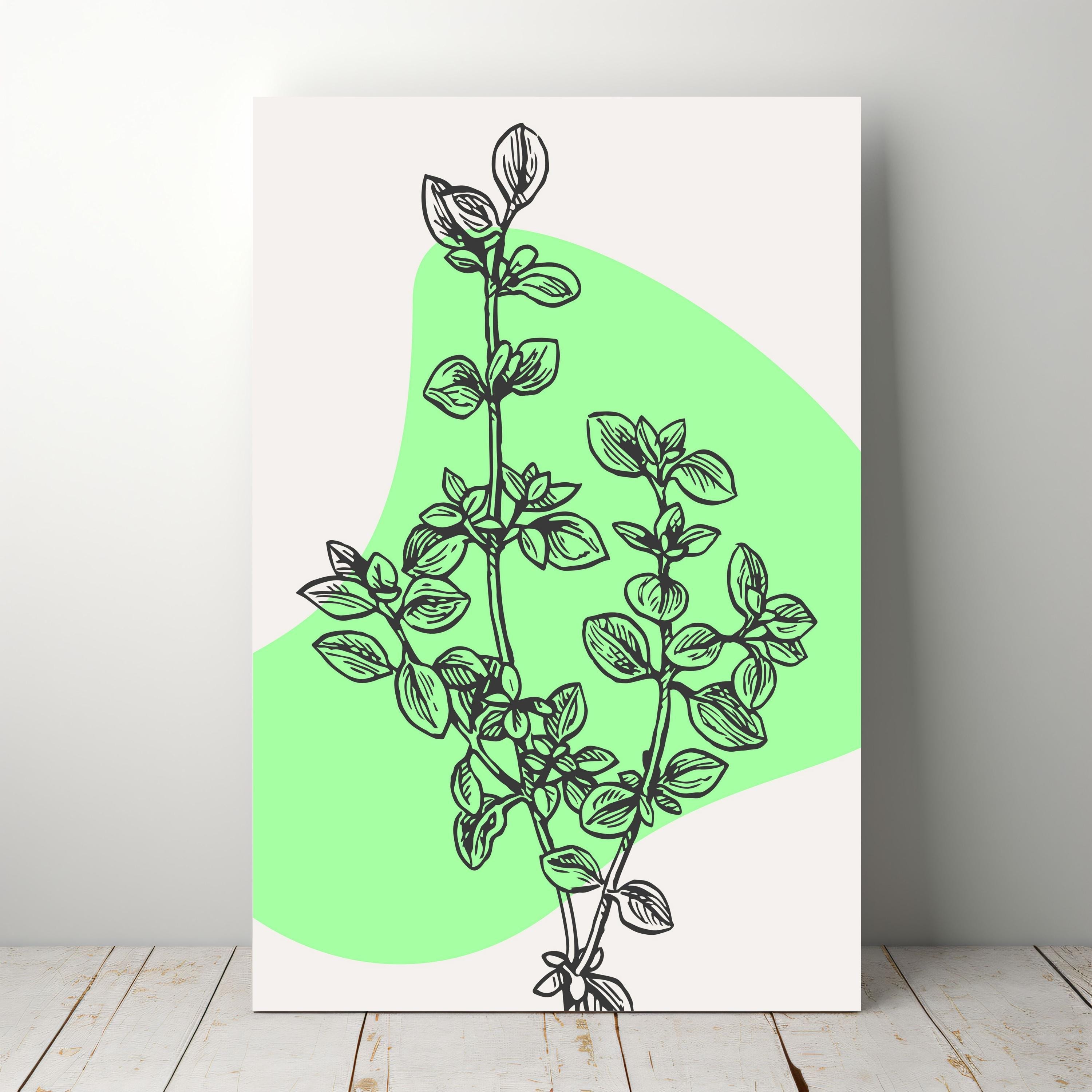 Oregano Botanical Print: Minimalist Kitchen Herb Wall Art (Digital Download)