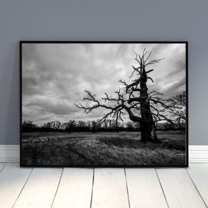 Impresión de árbol muerto en blanco y negro: fotografía de naturaleza melancólica, descarga digital de paisajes, arte mural rústico minimalista para decoración moderna