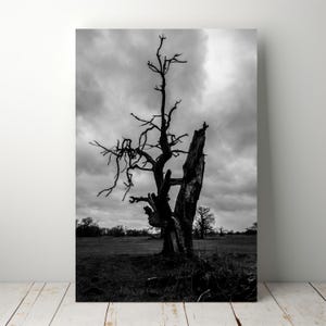 Arte mural con paisaje de árbol muerto: impresión fotográfica de naturaleza en blanco y negro, descarga digital de cielo tormentoso y melancólico, decoración rústica minimalista