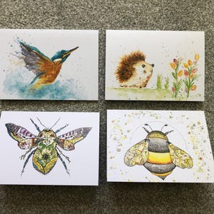 Cartes de voeux - hérisson, abeille, martin-pêcheur, papillon de nuit