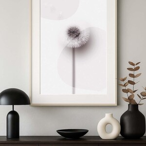 X-ray Botanical Art - Dandelion