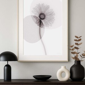X-ray Botanical Art - Gerbera