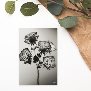 modern-light and shadow of flower -02-