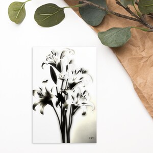 Carte postale standard