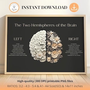 K&ouml;nnte beinhalten: Ein gerahmter Digitaldruck mit dem Titel The Two Hemispheres of the Brain auf dunklem Hintergrund. Die linke Seite zeigt eine Gehirnillustration aus wei&szlig;en Papierblumen, w&auml;hrend die rechte Seite ein Gehirn aus beigen Blumenmustern darstellt.