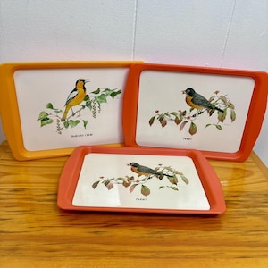 May include: Three rectangular serving trays with bird illustrations. The trays have orange and yellow rims, and white centers. The illustrations depict a Bullock's Oriole and two Robins perched on branches. The text "Bullock's Oriole" and "Robin" are printed on the trays.