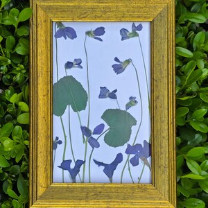 Framed Floral Arrangement | Vintage Picture Frame | Gold