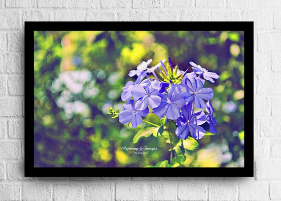 Flower Photography Light Purple Green Floral Wall Art Bedroom Decor Nature Photograph Bedroom Wall Art Lime Green And Purple