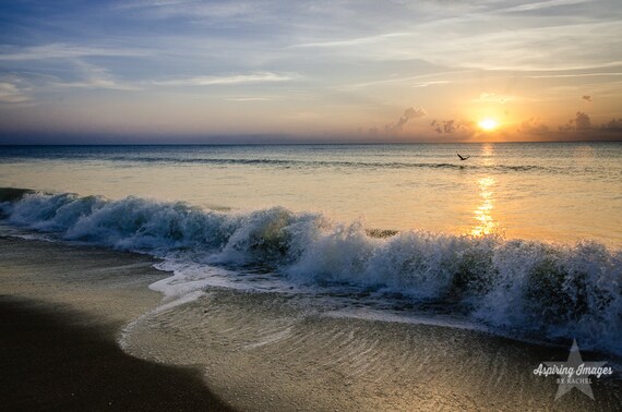 Download Strand buerodekor For iPhone Free