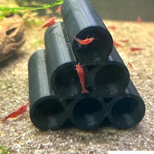 Shrimp Hide, Breeding Tube