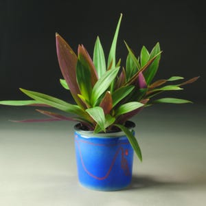 Small Planter Blue Green