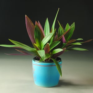 Small Planter Blue Green