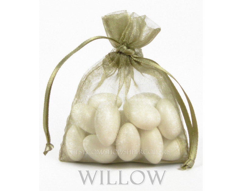 bronze, greenish-tan 10 WILLOW Organza Bags 6 x 9 Inch Sheer Fabric Favor and Gift Bags