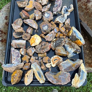 May include: A collection of raw, uncut agate stones in various shapes and sizes. The stones display a range of colors, including brown, yellow, blue, and white, with visible banding and crystal formations. The agates are arranged on a black tray.