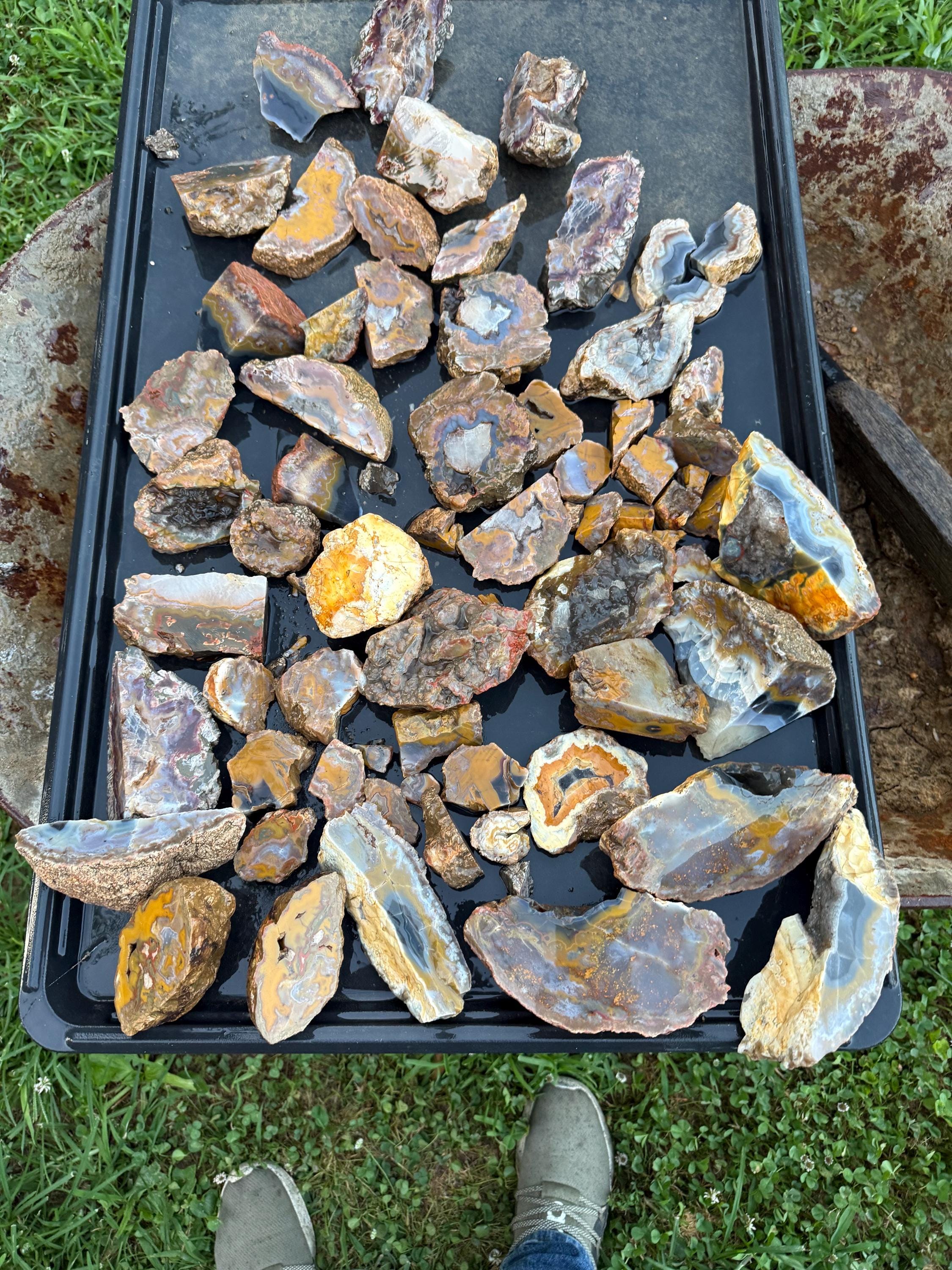 Tumble Rough Estill County Ky Agate Pieces and Half Rocks Showing Bands ...