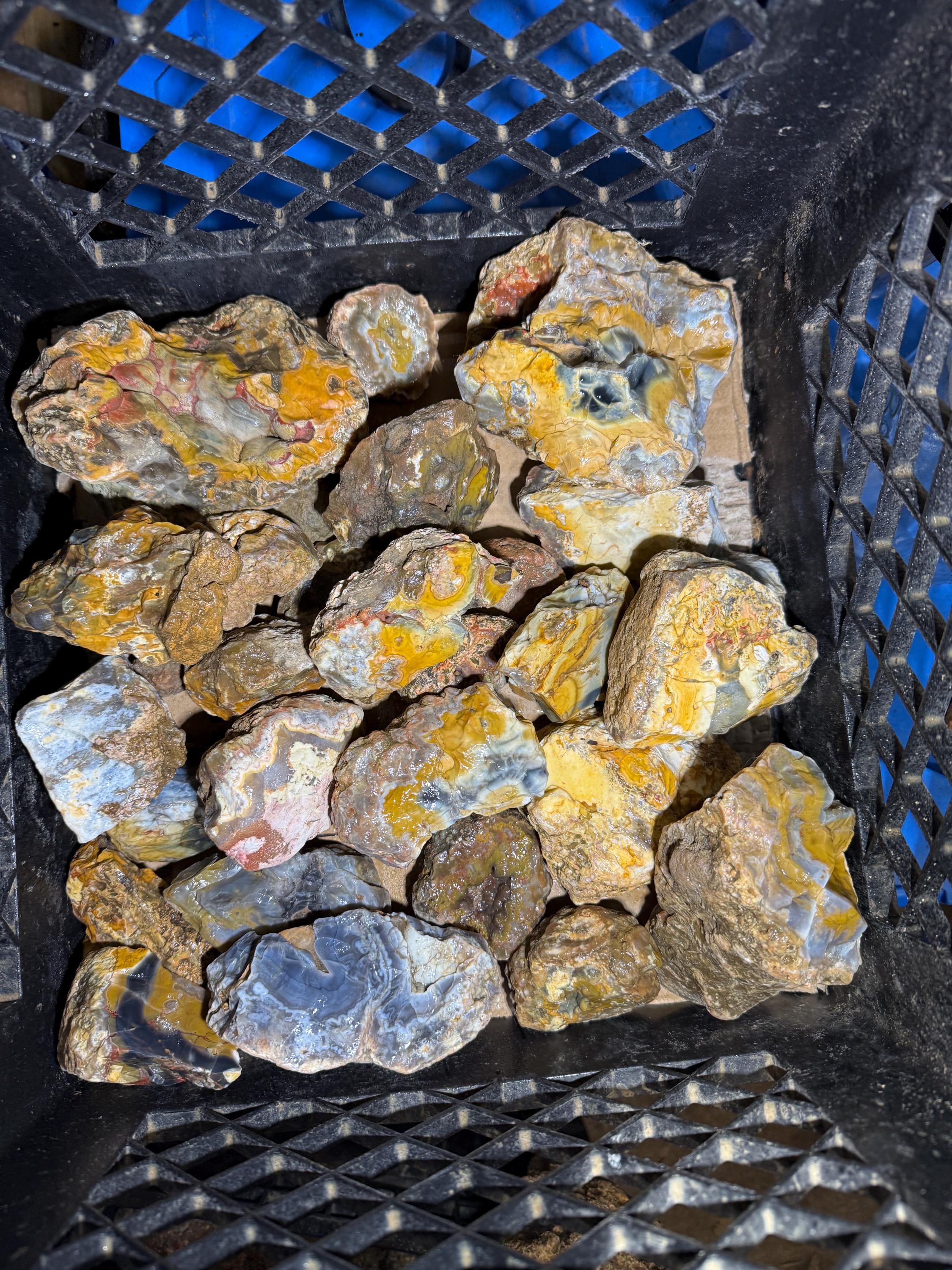 Rough Estill County Ky Agate Pieces and Half Rocks Showing Bands by the ...