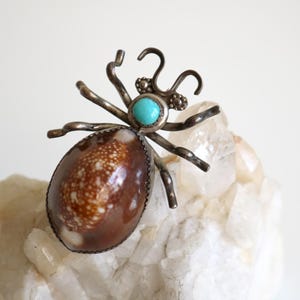 Spilla a forma di scarabeo in conchiglia turchese Navajo