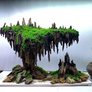 Custom Size Aquascape Layout | Custom Size Handmade Aquatic Decor for Aquarium