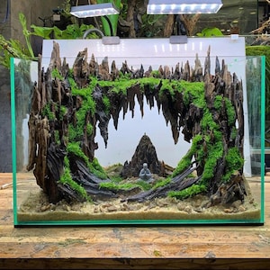 Natural Aquascape Island Layout | Custom Size Handmade Aquatic Decor for Aquarium