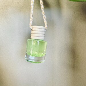 May include: A small, clear glass bottle filled with a light green liquid and glitter. The bottle has a wooden cap and is suspended by a white and gold rope. The product is hanging from a green leaf.