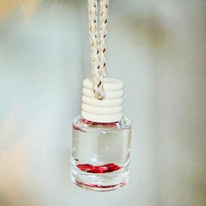 May include: A clear glass bottle with a white wooden cap and a decorative rope. The bottle contains a clear liquid with red accents. The product is designed to hang.