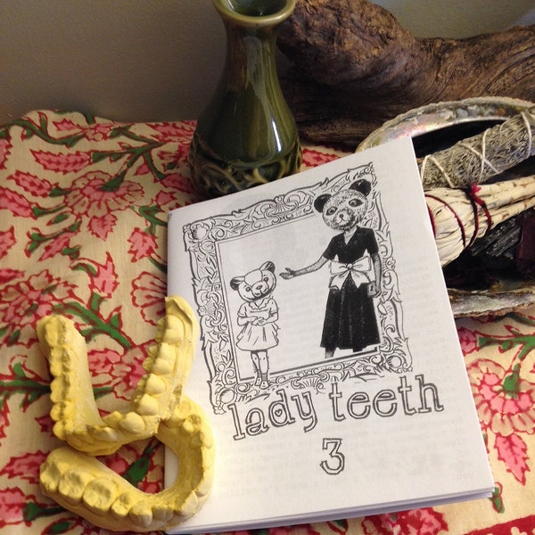 lady teeth 3 / your secretary 15 split zine