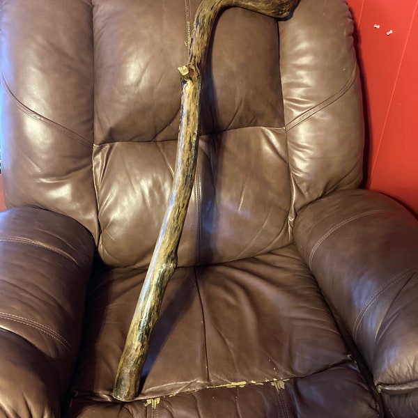 Handmade Adirondack Driftwood Cane