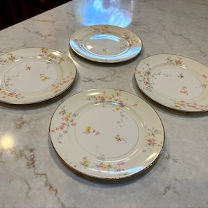  Clementine プレート 5枚セット Clementine Plates - Etsy