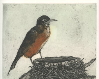 Robin at Nest, Original Aquatint Etching