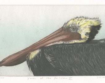 Brown Pelican, Original Color Etching