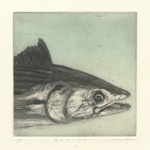 Bonito, Original Color Aquatint Etching image 1