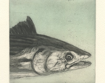 Bonito, Original Color Aquatint Etching